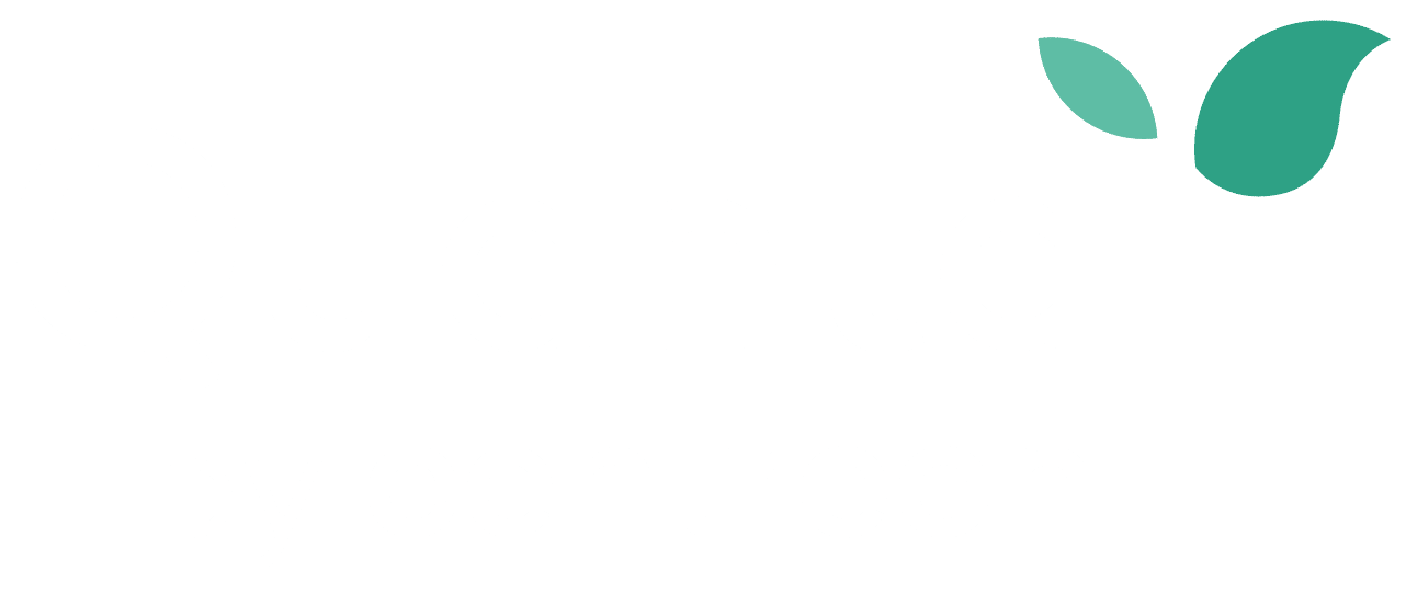 Quanta
